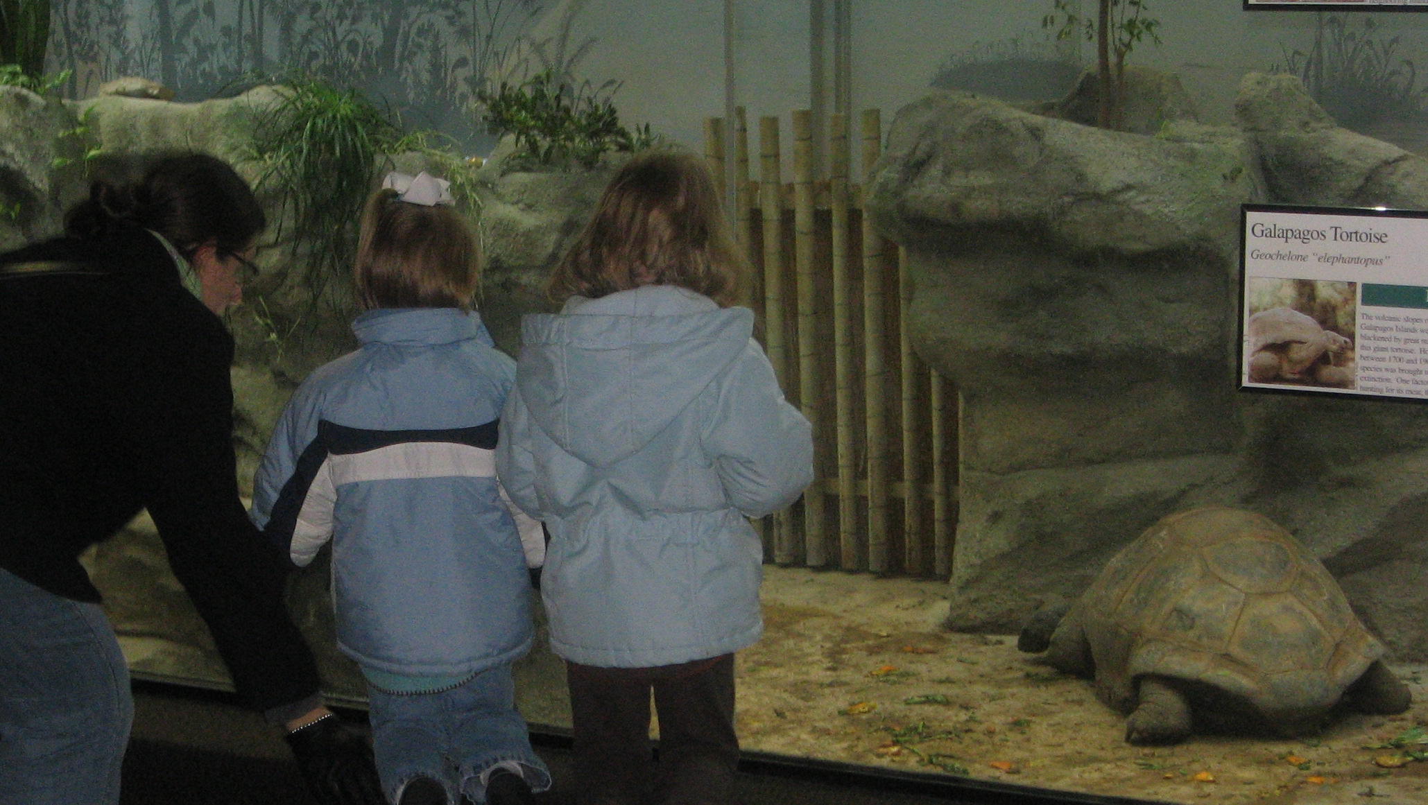 2008_01_17 BCJ at zoo.jpg
